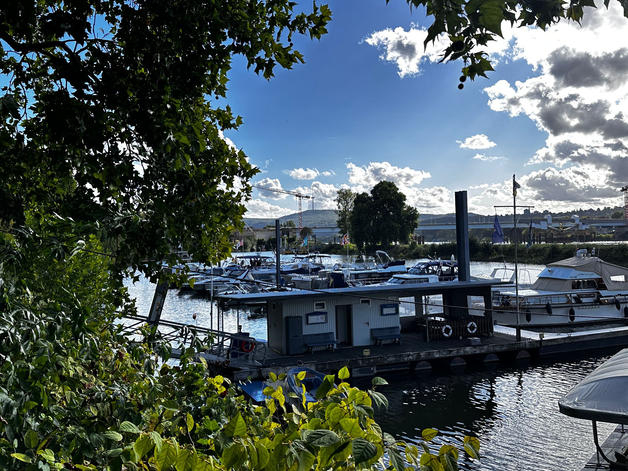 WhatsApp Bild 2025-09-12 um 18.23.18_7a15ba8d