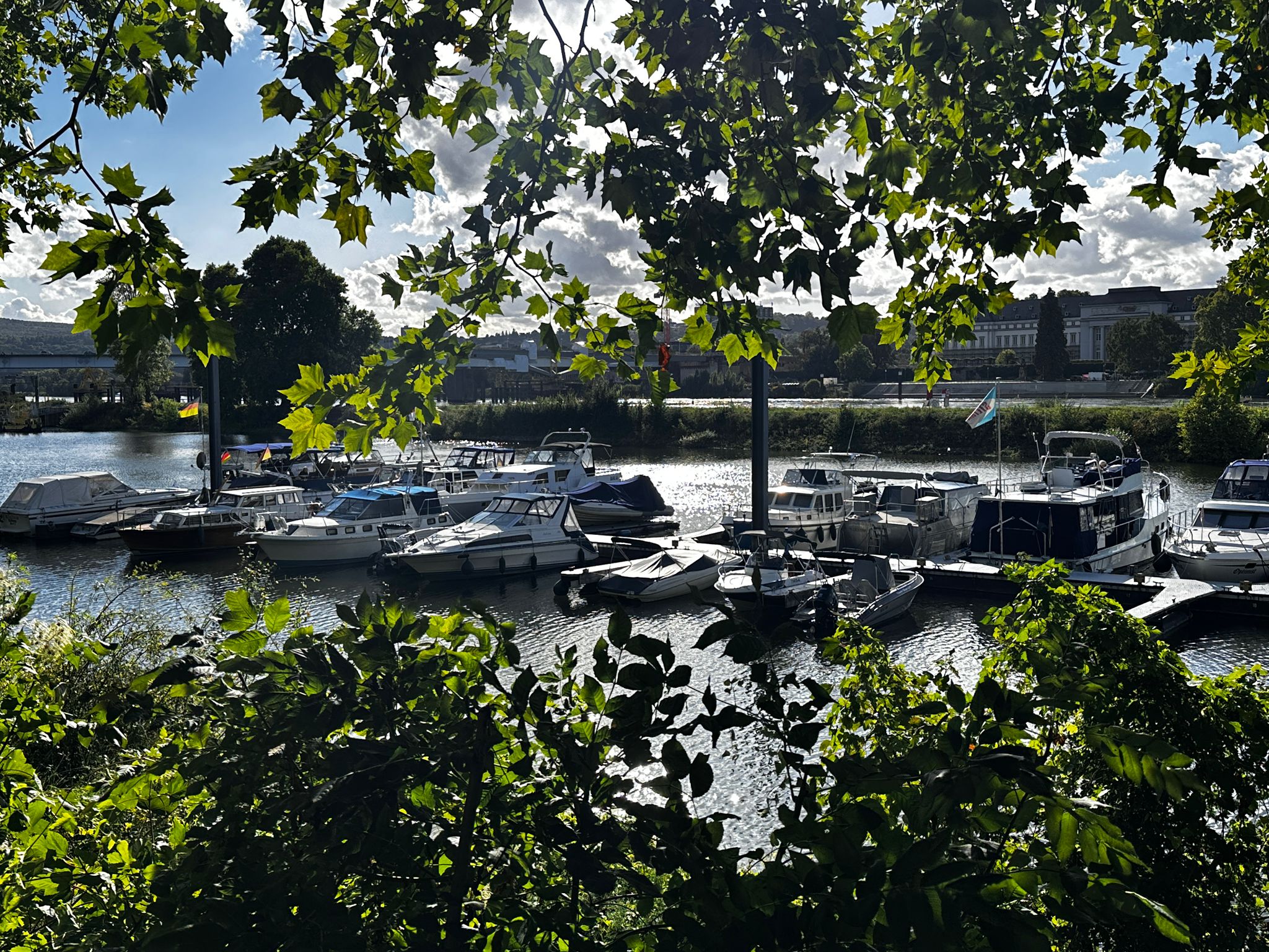 WhatsApp Bild 2025-09-12 um 18.23.19_c930597a